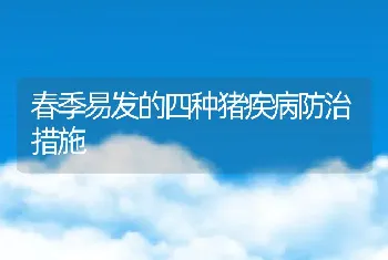 春季易发的四种猪疾病防治措施