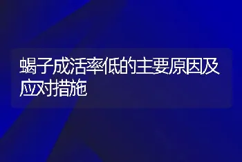 蝎子成活率低的主要原因及应对措施