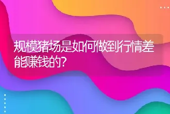 规模猪场是如何做到行情差能赚钱的？