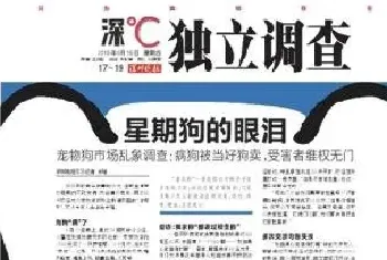 宠物狗市场乱象调查:病狗被当好狗卖,受害者维权无门