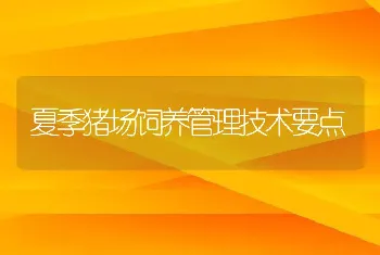 夏季猪场饲养管理技术要点