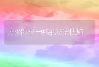 水貂阿留申病的防治措施