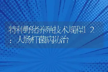 特种野猪养殖技术规程12：大肠杆菌病防治