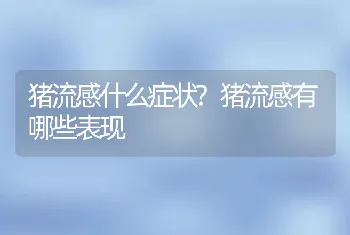 猪流感什么症状?猪流感有哪些表现