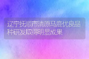 辽宁抚顺市清原马鹿优良品种研发取得明显成果