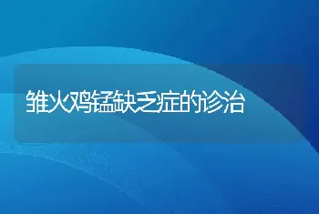 雏火鸡锰缺乏症的诊治