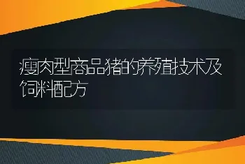 瘦肉型商品猪的养殖技术及饲料配方