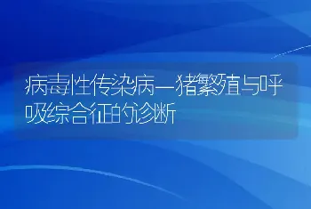 病毒性传染病－猪繁殖与呼吸综合征的诊断