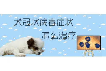 犬冠状病毒症状怎么治疗