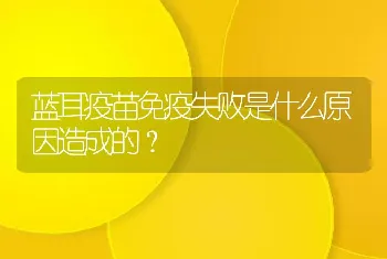 蓝耳疫苗免疫失败是什么原因造成的？