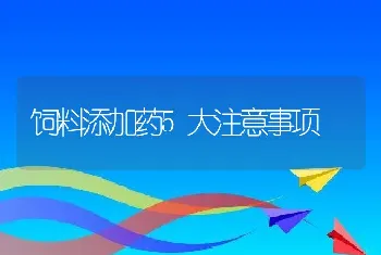 饲料添加药5大注意事项