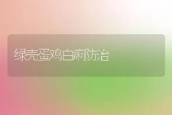 绿壳蛋鸡白痢防治