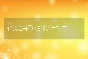 仔鹿缺钙症的诊治报告