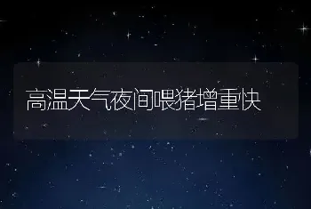 高温天气夜间喂猪增重快