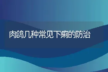 肉鸽几种常见下痢的防治