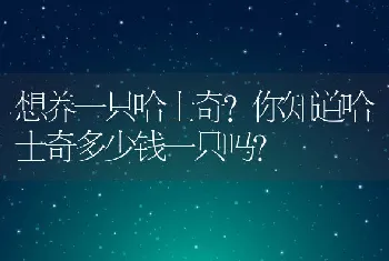 想养一只哈士奇？你知道哈士奇多少钱一只吗？