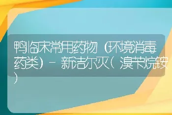 鸭临床常用药物（环境消毒药类）-新洁尔灭(溴苄烷铵)