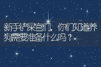 新手铲屎官们，你们知道养狗需要准备什么吗？