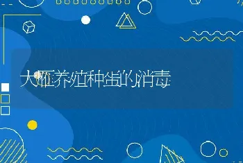 大雁养殖种蛋的消毒