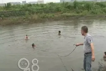 杭州一男子把狗扔河里测试游泳，自己失足掉水中溺亡