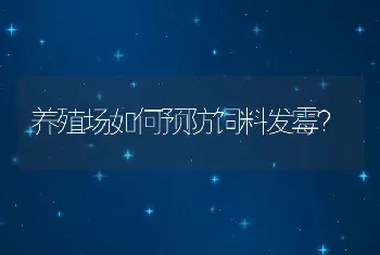 养殖场如何预防饲料发霉？