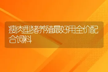 瘦肉型猪养殖最好用全价配合饲料