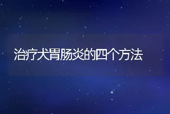 治疗犬胃肠炎的四个方法