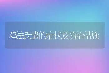 鸡法氏囊的症状及防治措施