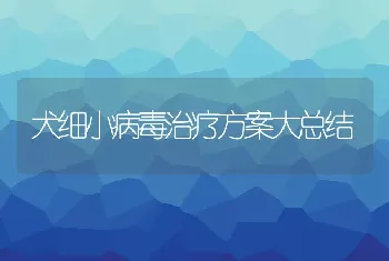 犬细小病毒治疗方案大总结