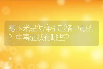 霉玉米是怎样引起猪中毒的？中毒症状有哪些？