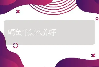 鳄鱼龟怎么养好