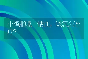 小鸡胀嗉,便血，该怎么治疗？