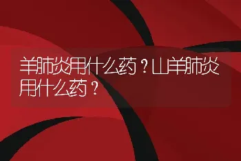 羊肺炎用什么药？山羊肺炎用什么药？