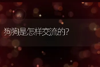 狗狗是怎样交流的？