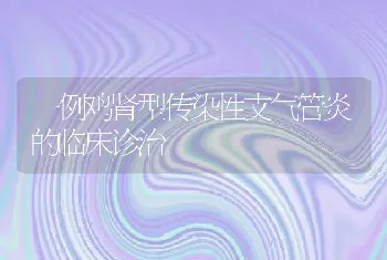 一例鸡肾型传染性支气管炎的临床诊治