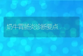 奶牛胃肠炎诊断要点