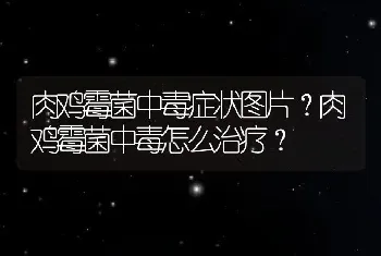 肉鸡霉菌中毒症状图片？肉鸡霉菌中毒怎么治疗？