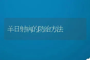 羊日射病的防治方法