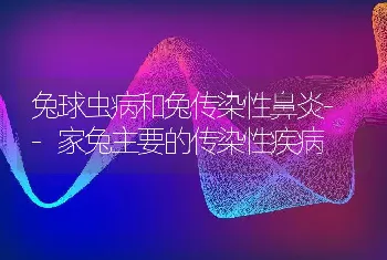 兔球虫病和兔传染性鼻炎--家兔主要的传染性疾病