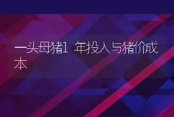 一头母猪1年投入与猪价成本