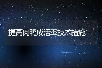 提高肉鸭成活率技术措施