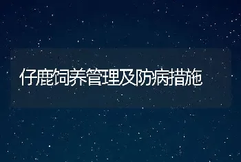 仔鹿饲养管理及防病措施