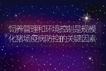 饲养管理和环境控制是规模化猪场疫病防控的关键因素