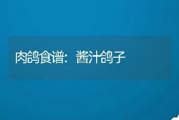 肉鸽食谱:酱汁鸽子