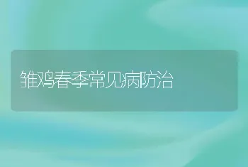 雏鸡春季常见病防治