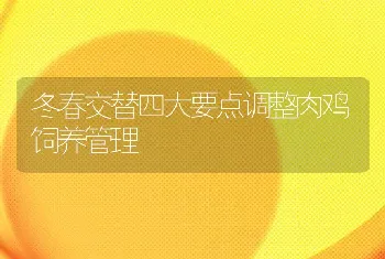 冬春交替四大要点调整肉鸡饲养管理