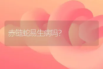 赤链蛇易生病吗？