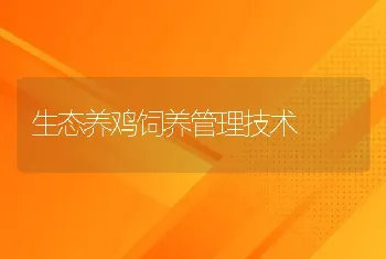 生态养鸡饲养管理技术