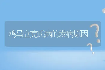 鸡马立克氏病的发病原因