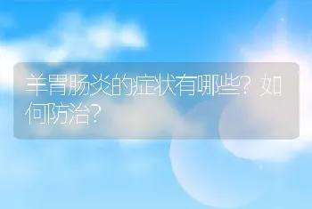 羊胃肠炎的症状有哪些？如何防治？